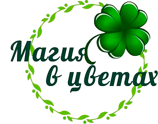 Магия в цветах