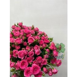 Роза кустовая (Китай) микс